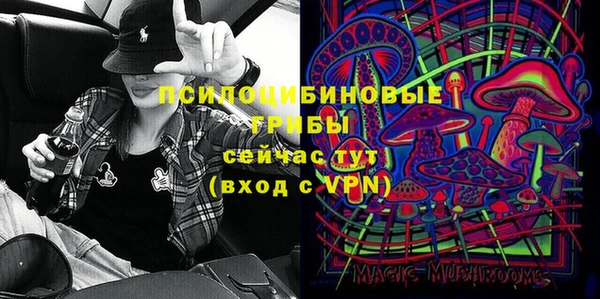 герыч Пересвет