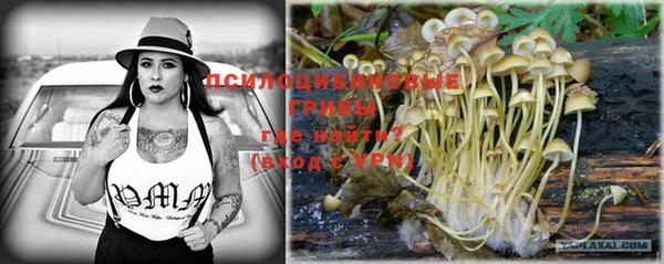 герыч Пересвет