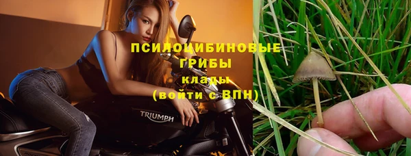 метамфетамин Осташков