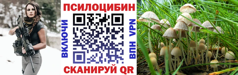 Купить  Ангарск  Галлюциногенные грибы MAGIC MUSHROOMS 